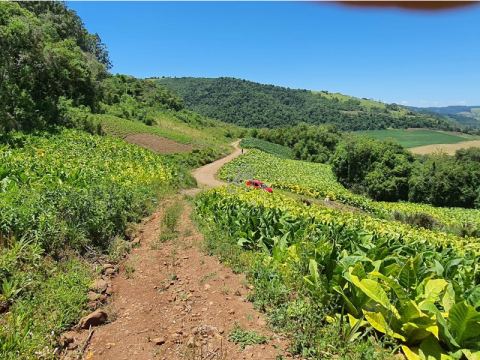 LINHA ÁGUAS DO ARAÇÁ - SITUADO NA FAZENDA SARGENTO - INTERIOR