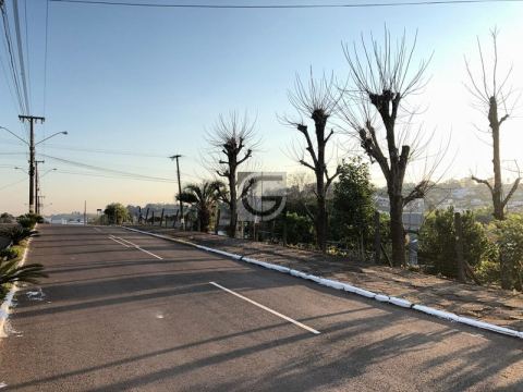 TE0120 - AVENIDA MARTIN PIASESKI - CENTRO